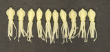 Fishing Lure B2 Stlye Squid Body 2.5" in /6 cm Octopus Soft Glow Fluke Jig 10 Pc